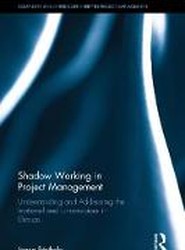 Shadow Working in Project Management