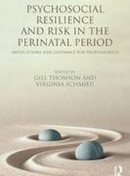 Psychosocial Resilience and Risk in the Perinatal Period