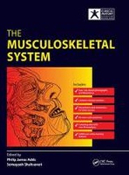 The Musculoskeletal System