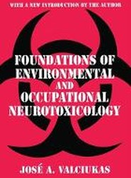 Foundations of Environmental and Occupational Neurotoxicology