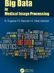 Big Data in Medical Image Processing
