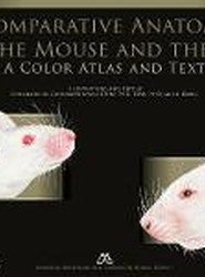 Comparative Anatomy of the Mouse and the Rat