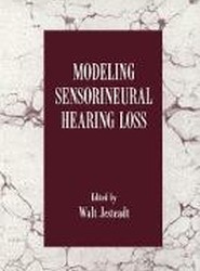 Modeling Sensorineural Hearing Loss
