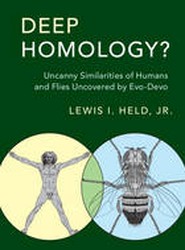 Deep Homology?