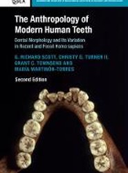 The Anthropology of Modern Human Teeth