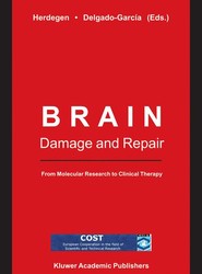 Brain Damage and Repair