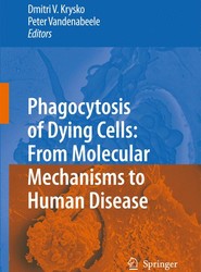 Phagocytosis of Dying Cells