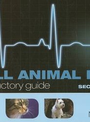 Small Animal ECGs