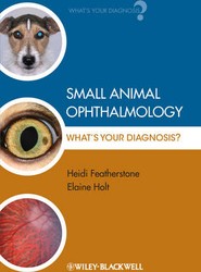Small Animal Ophthalmology - What's Your Diagnosis?