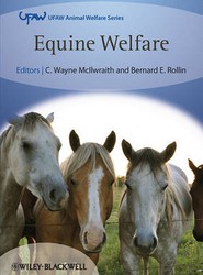 Equine Welfare
