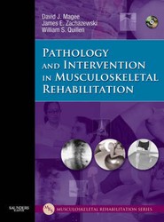 Pathology and Intervention in Musculoskeletal Rehabilitation