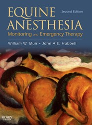 Equine Anesthesia