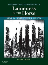 Diagnosis and Management of Lameness in the Horse
