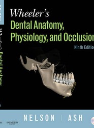 Wheeler's Dental Anatomy, Physiology and Occlusion