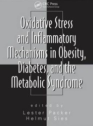 Oxidative Stress and Inflammatory Mechanisms in Obesity, Diabetes, and the Metabolic Syndrome