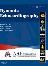 Dynamic Echocardiography