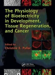 The Physiology of Bioelectricity in Development, Tissue Regeneration and Cancer