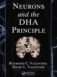Neurons and the DHA Principle