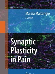 Synaptic Plasticity in Pain