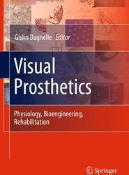 Visual Prosthetics