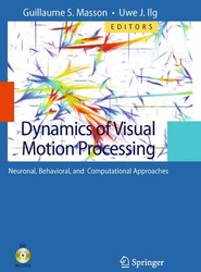 Dynamics of Visual Motion Processing