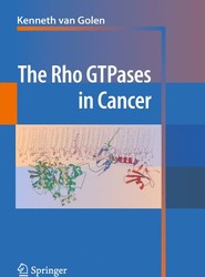 The Rho GTPases in Cancer