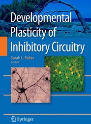 Developmental Plasticity of Inhibitory Circuitry