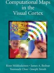 Computational Maps in the Visual Cortex