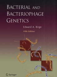 Bacterial and Bacteriophage Genetics