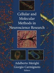 Cellular and Molecular Methods in Neuroscience Research