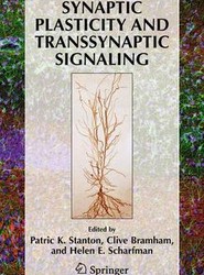Synaptic Plasticity and Transsynaptic Signaling
