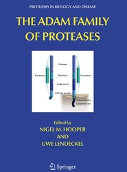 The ADAM Family of Proteases