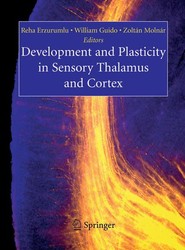 Development and Plasticity in Sensory Thalamus and Cortex