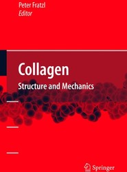 Collagen