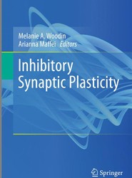 Inhibitory Synaptic Plasticity