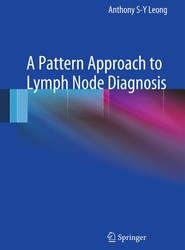 A Pattern Approach to Lymph Node Diagnosis