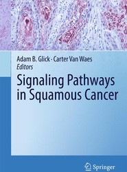 Signaling Pathways in Squamous Cancer