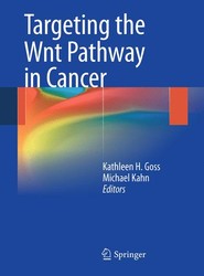 Targeting the Wnt Pathway in Cancer