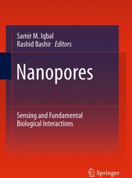 Nanopores