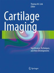 Cartilage Imaging