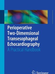 Perioperative Two-Dimensional Transesophageal Echocardiography