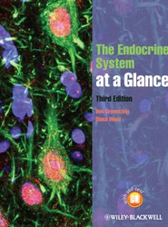 The Endocrine System at a Glance 3e