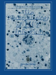 The Neuropathology of HIV Infection