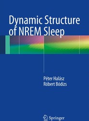 Dynamic Structure of NREM Sleep