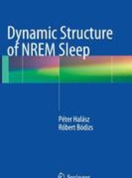 Dynamic Structure of NREM Sleep