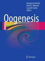 Oogenesis