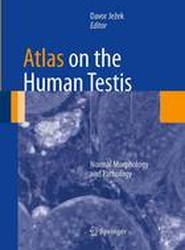 Atlas on the Human Testis