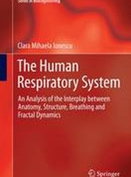 The Human Respiratory System