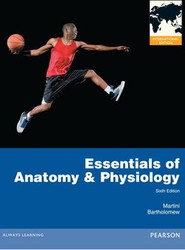 Essentials of Anatomy & Physiology/essentials of Interactive Physiology CD-ROM