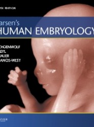 Larsen's Human Embryology